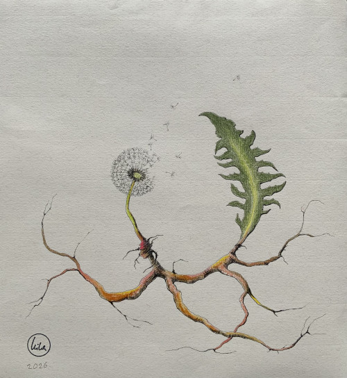 Rooted Resilience II