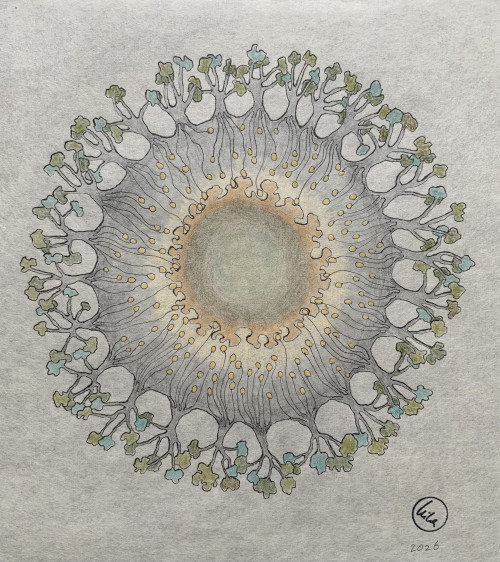 Haeckel’s Universe I