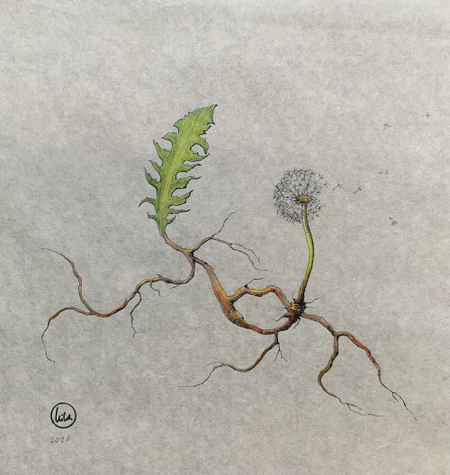 Rooted Resilience III