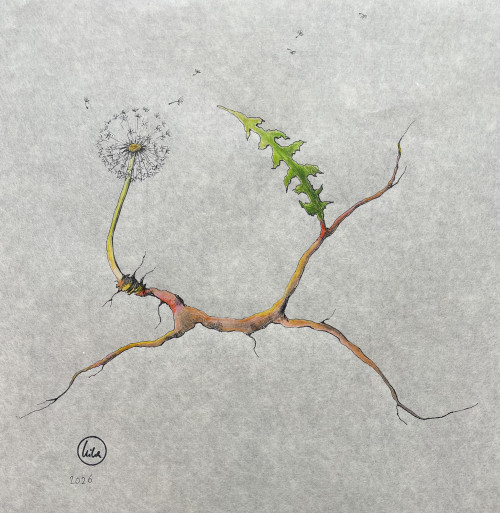 Rooted Resilience IV