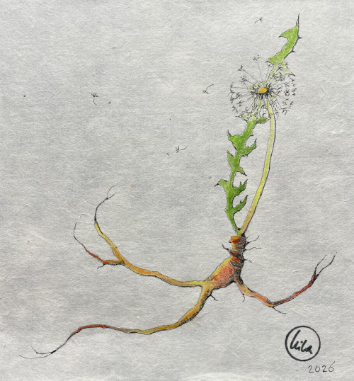 Rooted Resilience VI