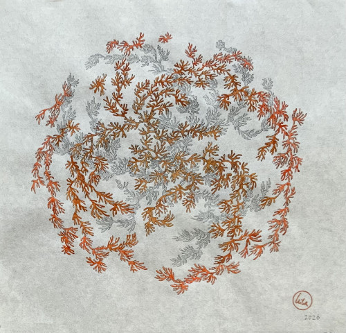 Haeckel's Universe IV