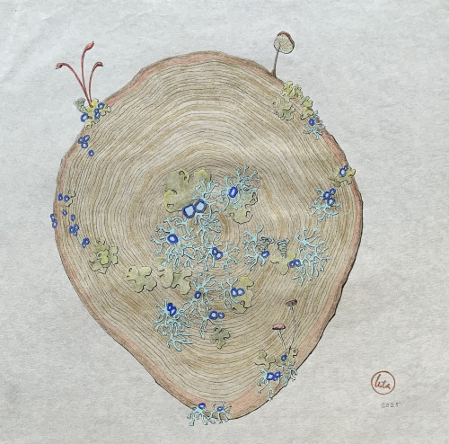 Mother Tree
