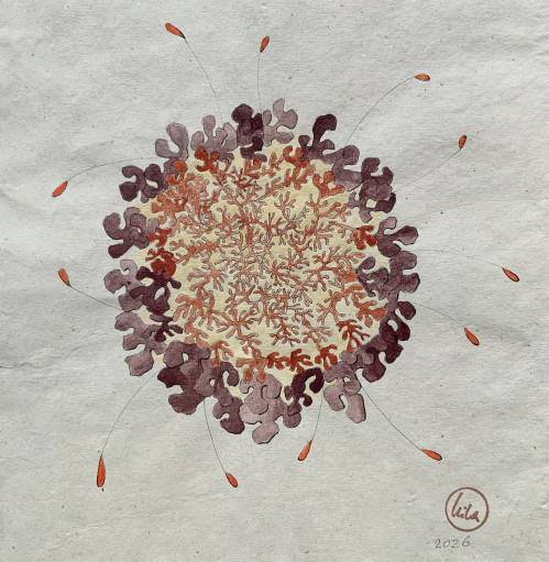Haeckel’s Universe II