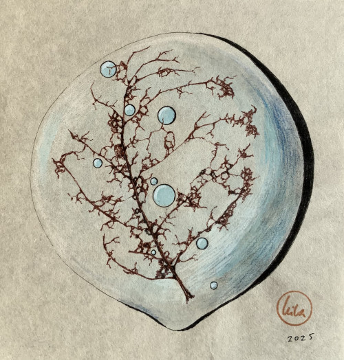 Still Life in a Bubble V