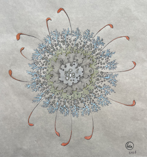 Haeckel’s Universe V