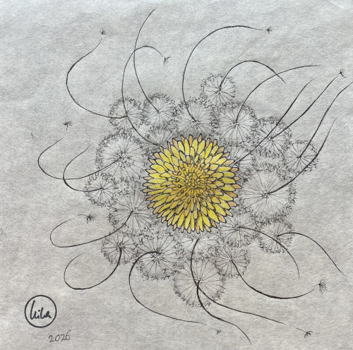 Haeckel’s Universe VI