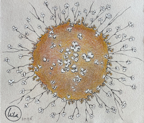 Haeckel’s Universe VII