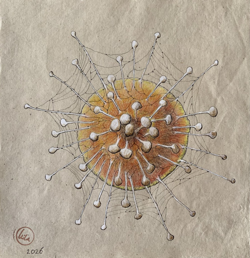 Haeckel’s Universe VIII